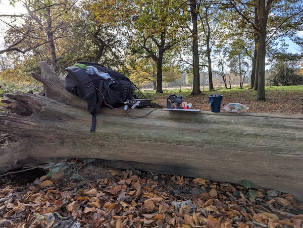 radio gear on tree log in autumn sunshine